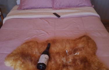 Rancho Maria Flor - Photo 12