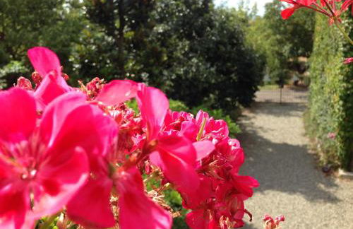 Cascina Folletto - Foto 67