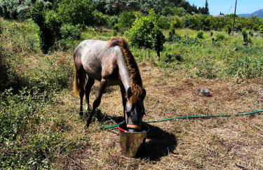 Lily Home_Lefkada ~ Private Country house - Foto 71