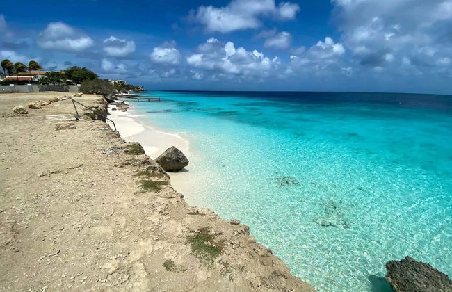 Snorkeling a Bonaire - Foto 4