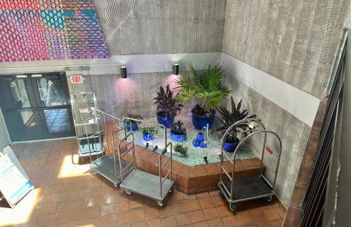 Paradise Found Cayo Hueso - Foto 57