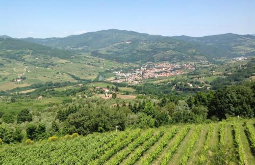 Agriturismo Prato Barone - Foto 5