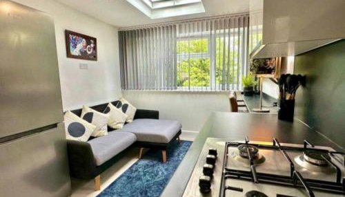 Modern Wembley flat near stadium and arena - Foto 5, stove