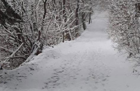 Ferienwohnung Zum Kühlen Grund - Foto 28