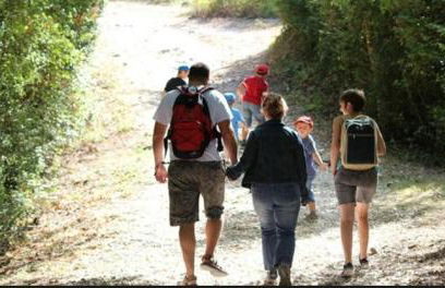 Maison dans les vignes - Foto 7