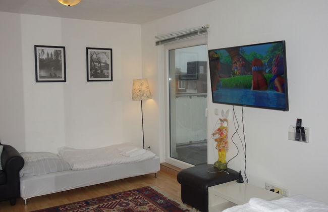 Tolstov-Hotels Big Room Apartment - Foto 9