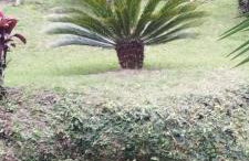 JARDIM REAL - Chalés para casais - Foto 14