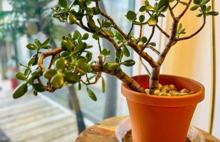 Daylight Cove Lakefront Condo, Pool, Hot Tub! - Foto 15