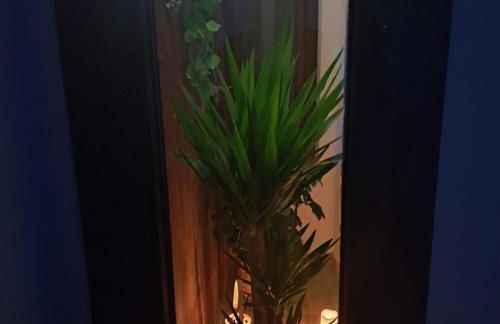 El Pis del Centre - Photo 13