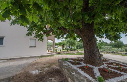 Apartment stari kesten - Photo 51