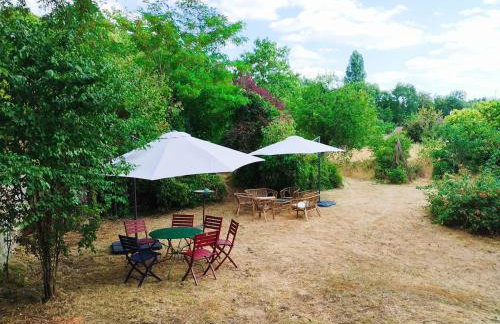 Les Studios Grenouilles - Foto 10