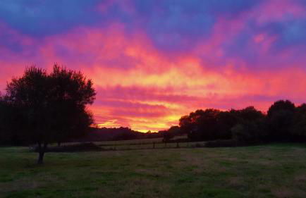 Casa Berdeal - Foto 45