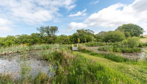 1 Bed in Glan Conwy oc-g30282 - Foto 3, Other