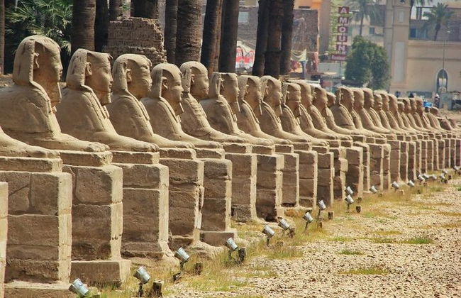 Crociera di 4 notti Luxor, Assuan, Abu Simbel, mongolfiera e tour in autobus da Hurghada - Foto 10