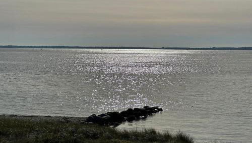 Traumferienwohnung222 - Foto 2