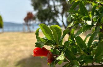 Holiday Home Tanjas Paradise by Interhome - Foto 19