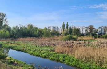 Mieszkanie nad Iławką - 2 pokoje, kuchnia, łazienka, balkon, parking, wi-fi - Foto 18