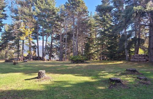 refugio en el bosque - Foto 3