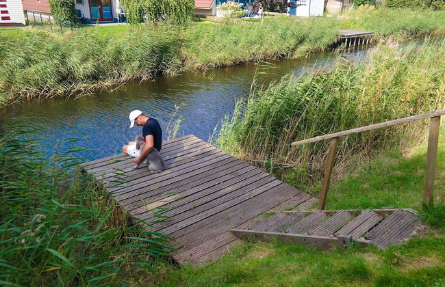 6 Pers - Holiday Home With Sunny Terrace by a Typical Dutch Canal - Foto 27