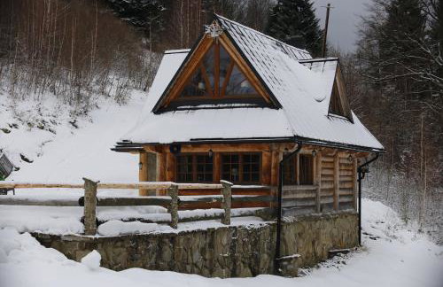 Domek w Górach Chatka Rogasiowa - Foto 15