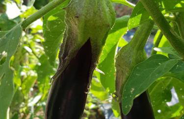 VILLA PALIOS STATHMOS - Foto 32