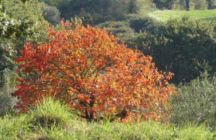 Agriturismo Terra Sabina - Foto 47