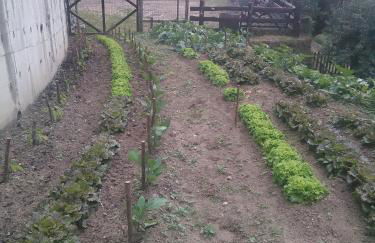 Agriturismo Fiorendo - Photo 8