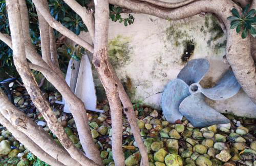 Residenza Gli Oleandri - Foto 68