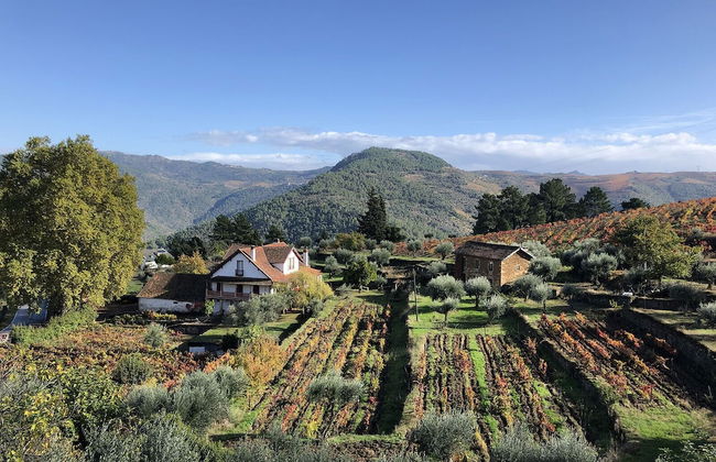 Quinta Vila Rachel - Photo 1