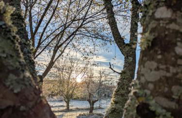 La Vieille Maison aux Canards - Foto 58