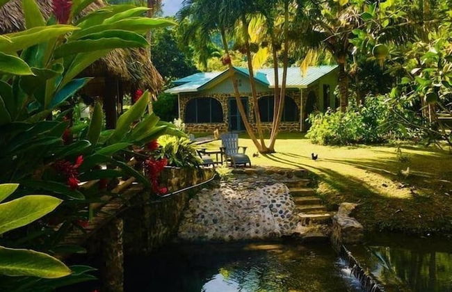 Orchard House - Photo 31