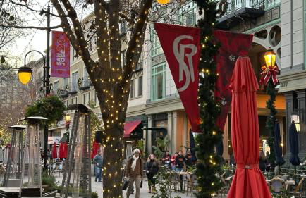 Santana Row Garden Retreat Private Executive Residence with Koi Pond and Waterfall Walk to Santana Row Valley Fair Dining and Shopping Private Entrance - Photo 6