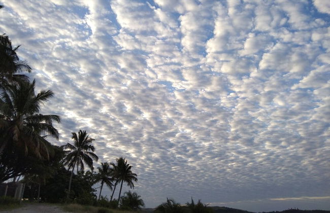 Log Cabin On And Overlooking a 9km Lagoon - Photo 20