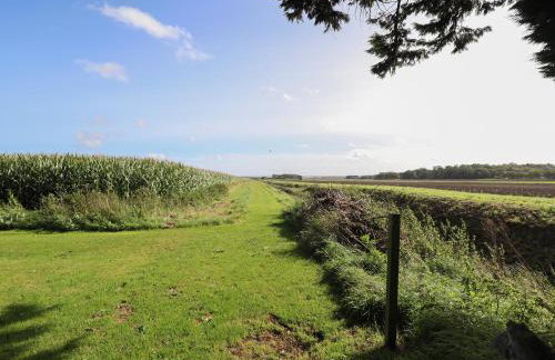 Swallow's Nest - Photo 23