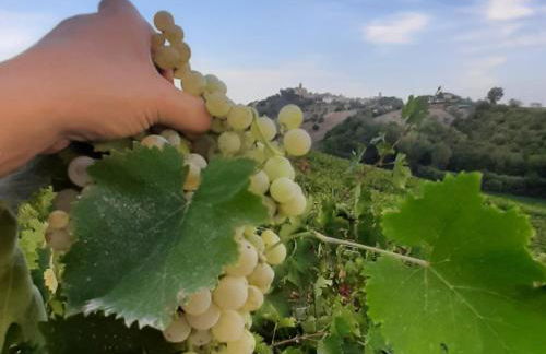 Agriturismo Magna Mater Agriculturae - Foto 33