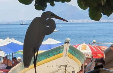 Andorinhas "Mini casa de hóspede" - Foto 59