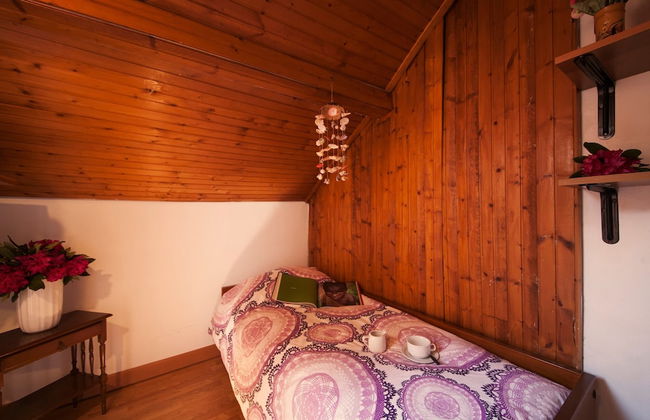 Rododendro Rosso - Foto 2