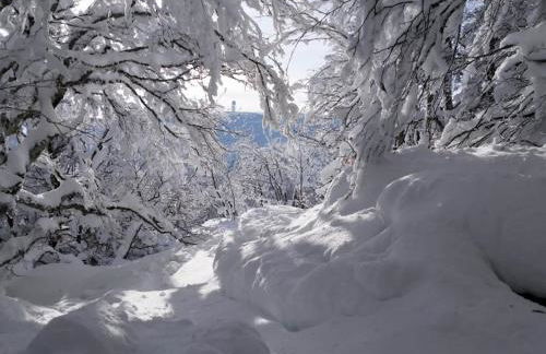 Gîte confortable pour 6 près des pistes, animaux admis - FR-1-496-138 - Foto 27