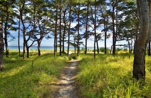 Ferienwohnung Aquamarin im Haus Arkona Prora - Foto 27
