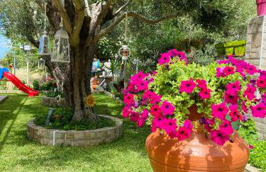 Backyard houses - Foto 8