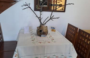 Villa Anesis-Παραθαλάσσια βίλα - Foto 52