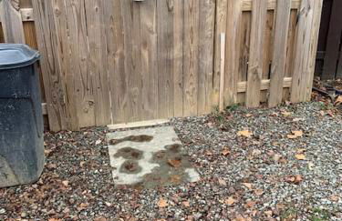 Hidden Gem near Downtown Frederick and shopping - Foto 7