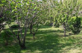 Apartment Lucija - Foto 31