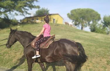 Villa Matilde - Foto 42