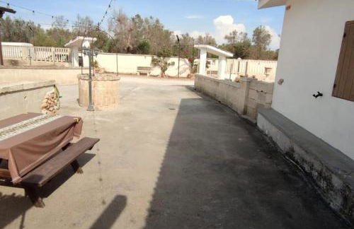 Ville Scelsa - Foto 19