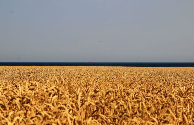 Holiday Home Lilly Comfortable Vacation Home - Foto 9