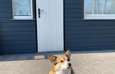 Ferienhaus am Tannenbad - Foto 33