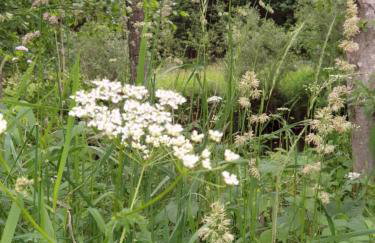 Haus Bergblick - Foto 65