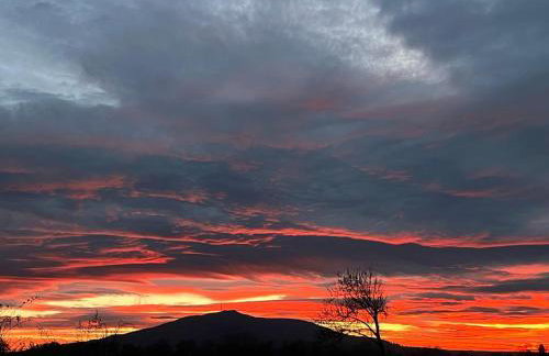 Apartament Monte Ślęża & Spa - Photo 24