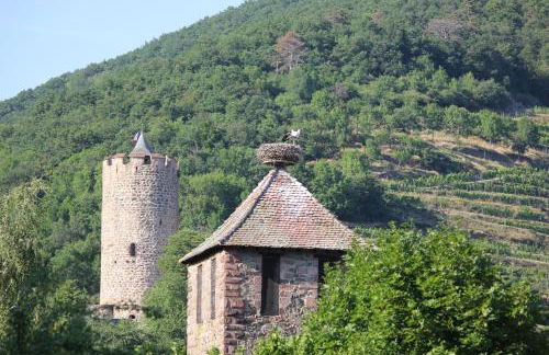 Gite des 5 cigognes rouge - Foto 21